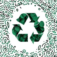 Prodotti Eco-Friendly